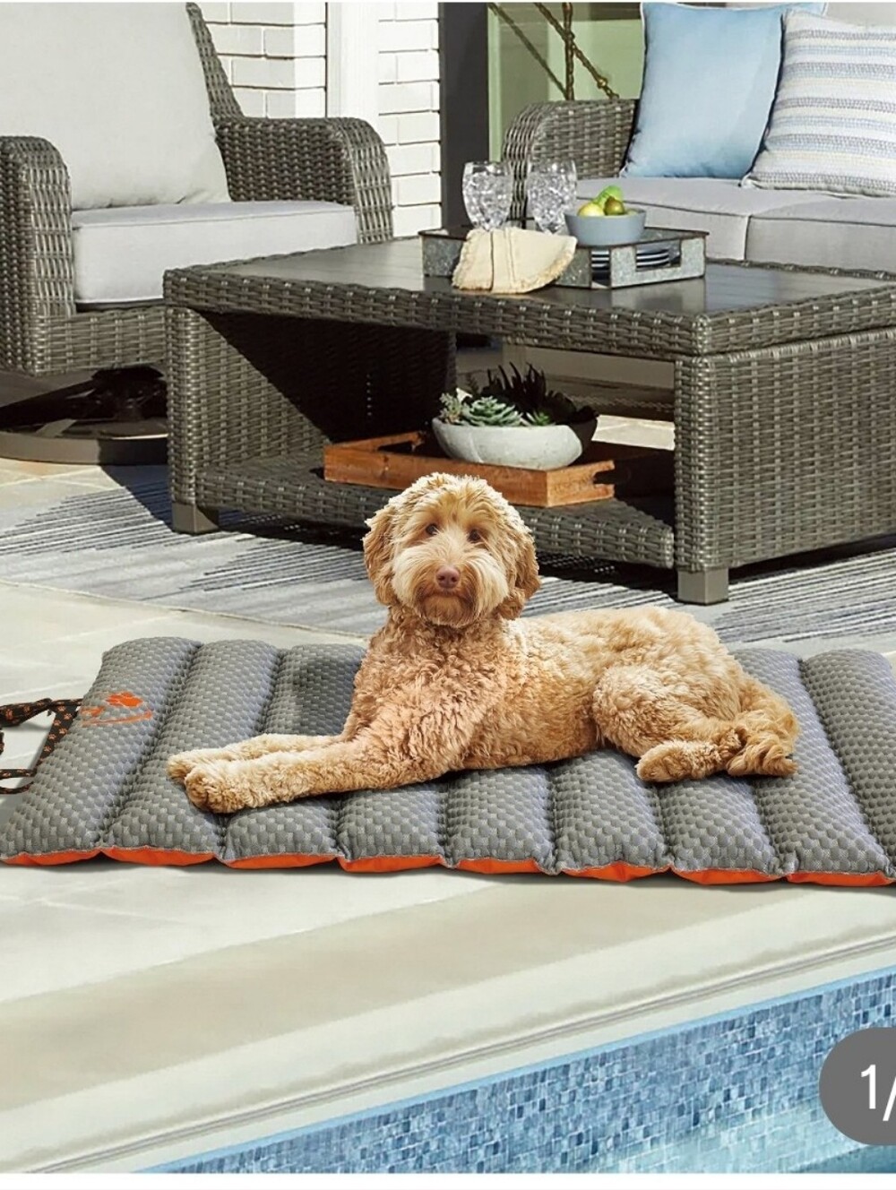 (6)Brentwoof  travel cooling Bed Mat for Pets
